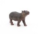 Hippopotamus calf