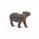 Hippopotamus calf