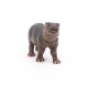 BÉBÉ HIPPOPOTAME