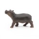 BÉBÉ HIPPOPOTAME