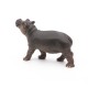 BÉBÉ HIPPOPOTAME