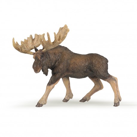 MOOSE