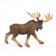 MOOSE
