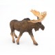 MOOSE