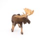 MOOSE