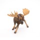 MOOSE