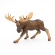 MOOSE