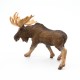 MOOSE