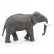 ÉLÉPHANT D'ASIE