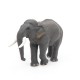 ÉLÉPHANT D'ASIE