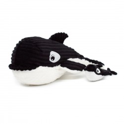 Killer Whale Mommy and baby black