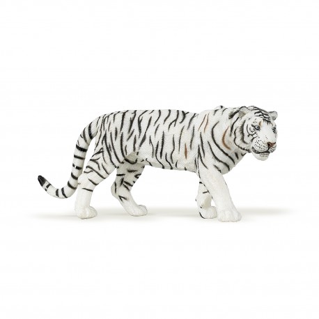 TIGRE BLANC