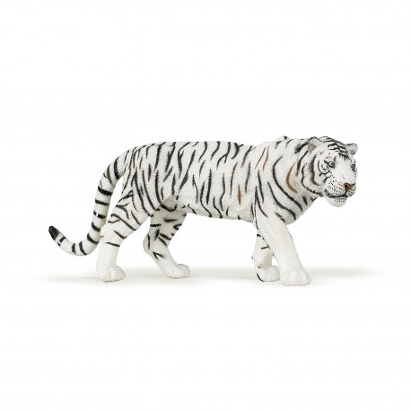 White tiger