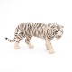 TIGRE BLANC