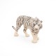 TIGRE BLANC