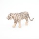 TIGRE BLANC