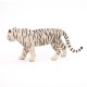 WHITE TIGER