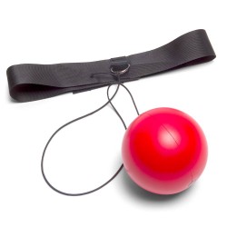 Reflex Boxing Ball