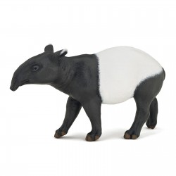 TAPIR