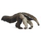 Giant anteater