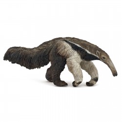 Giant anteater