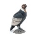 CONDOR