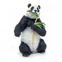 Panda avec bamboo