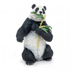 Panda with bamboo