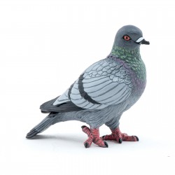 PIEGON