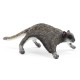 FLYING SQUIRREL