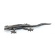 COMMON LIZARD