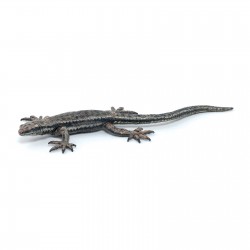 COMMON LIZARD