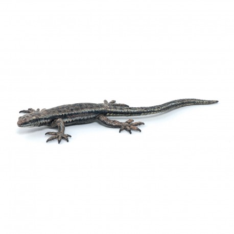 COMMON LIZARD