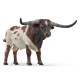 Longhorn bull