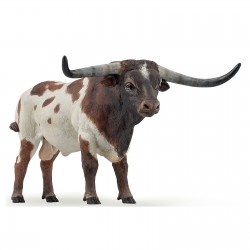 TAUREAU LONG HORNS
