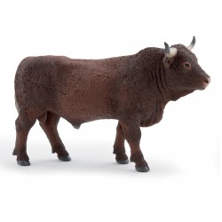TAUREAU SALERS