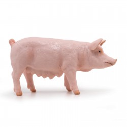 SOW