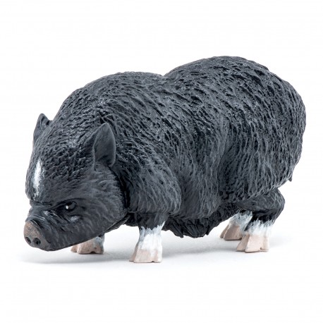 COCHON VIETNAMIEN