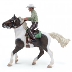 CHEVAL WESTERN ET SON CAVALIER