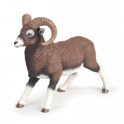 Mouflon