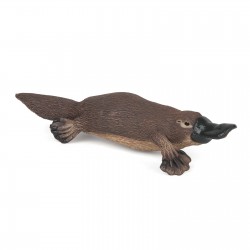 Platypus