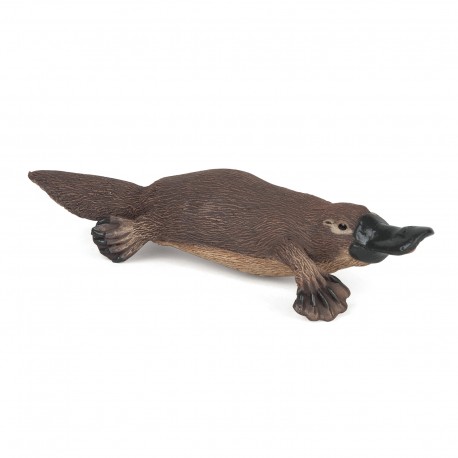 ORNYTHORYNQUE