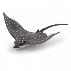 Spotted eagle ray