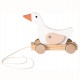 Canard A Tirer
