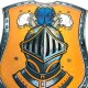 Mystery knight shield