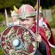 Viking Shield, Harald