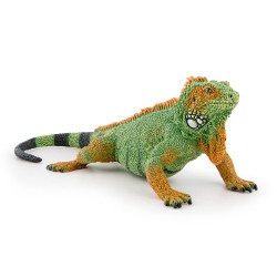 IGUANE
