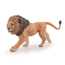 LION D'AFRIQUE