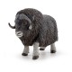 MUSK OX