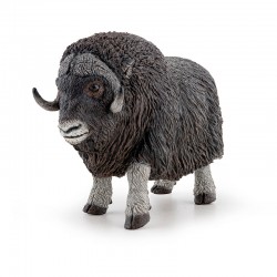 MUSK OX